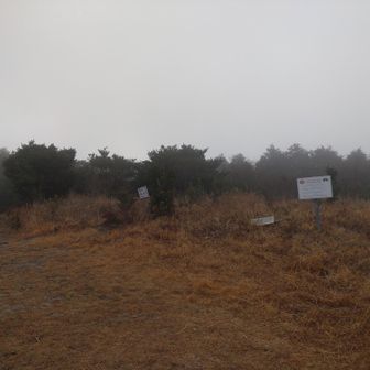 ガスで何も見えませんでした