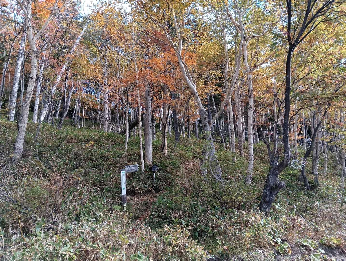 登山口