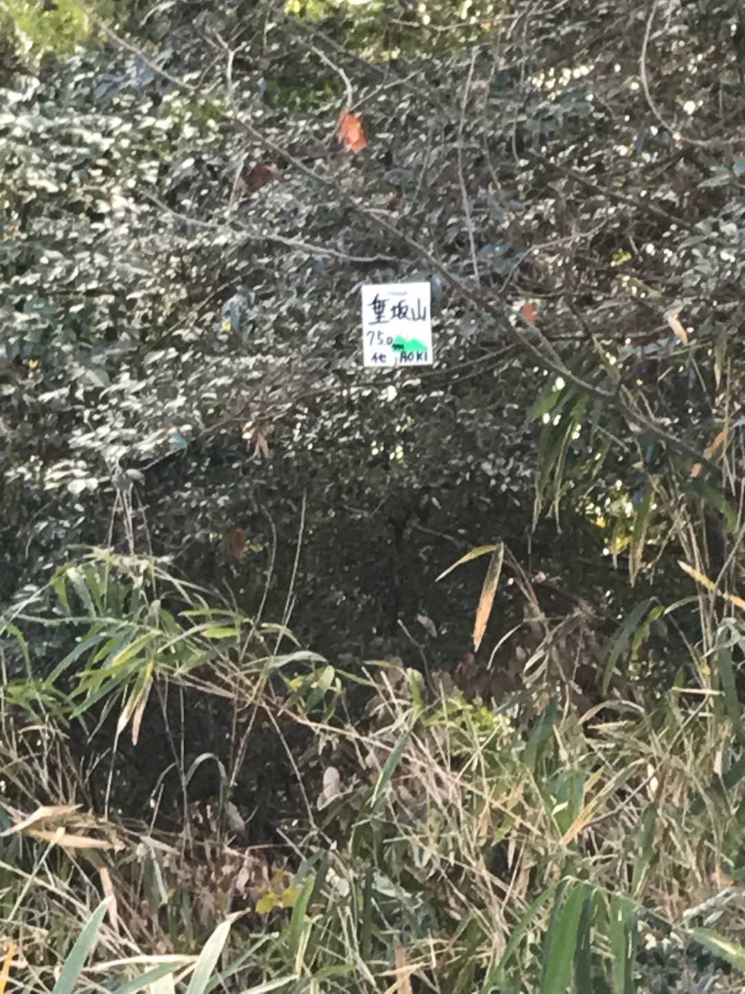 通り過ぎそうでしたが、小さな表示で垂坂山の案内が有りました。