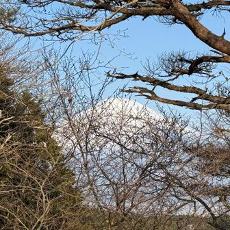 今日最初の富士山🗻