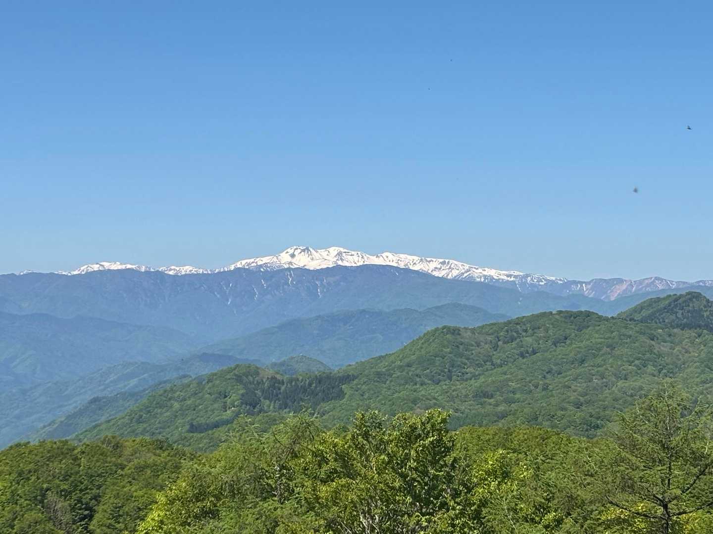 白山が見えた🤩🤩🤩

火曜日別山でも行こうかなと思ってたので
じーっと眺める🤩🤩