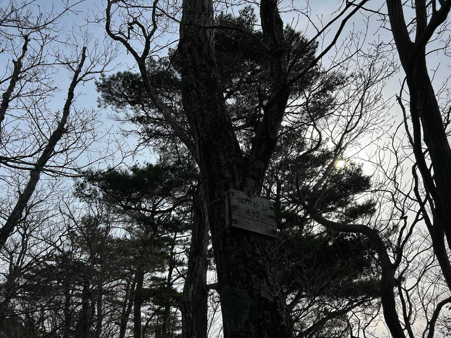 観音岳 往復コースの写真