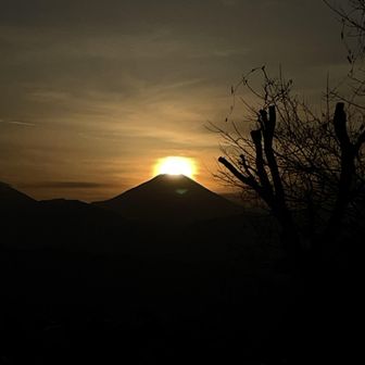 ど真ん中だねー