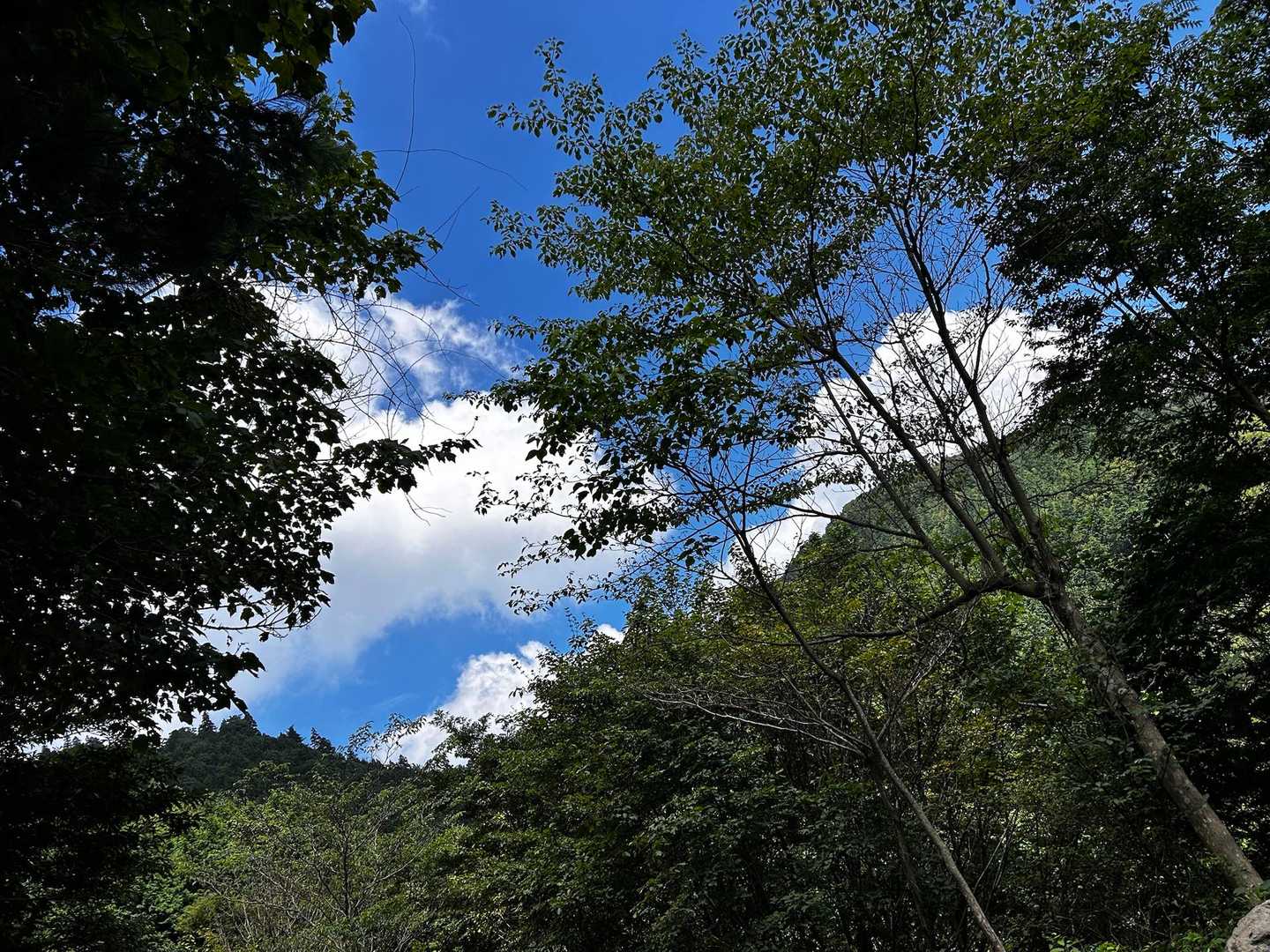 今登ってきたお山達⛰️