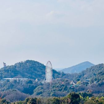 寂光院より
モンキーパークだそうです。
転入して10年経ちましたが未訪問。