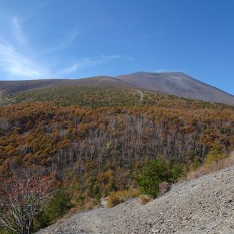 浅間山がすぐそこです✨