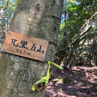 ピーク周辺ぐるぐる回って
ようやく発見
この後来た道戻ればいいのに黒五ダム方面へ