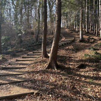 登って登って…