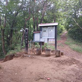 ここが登山口