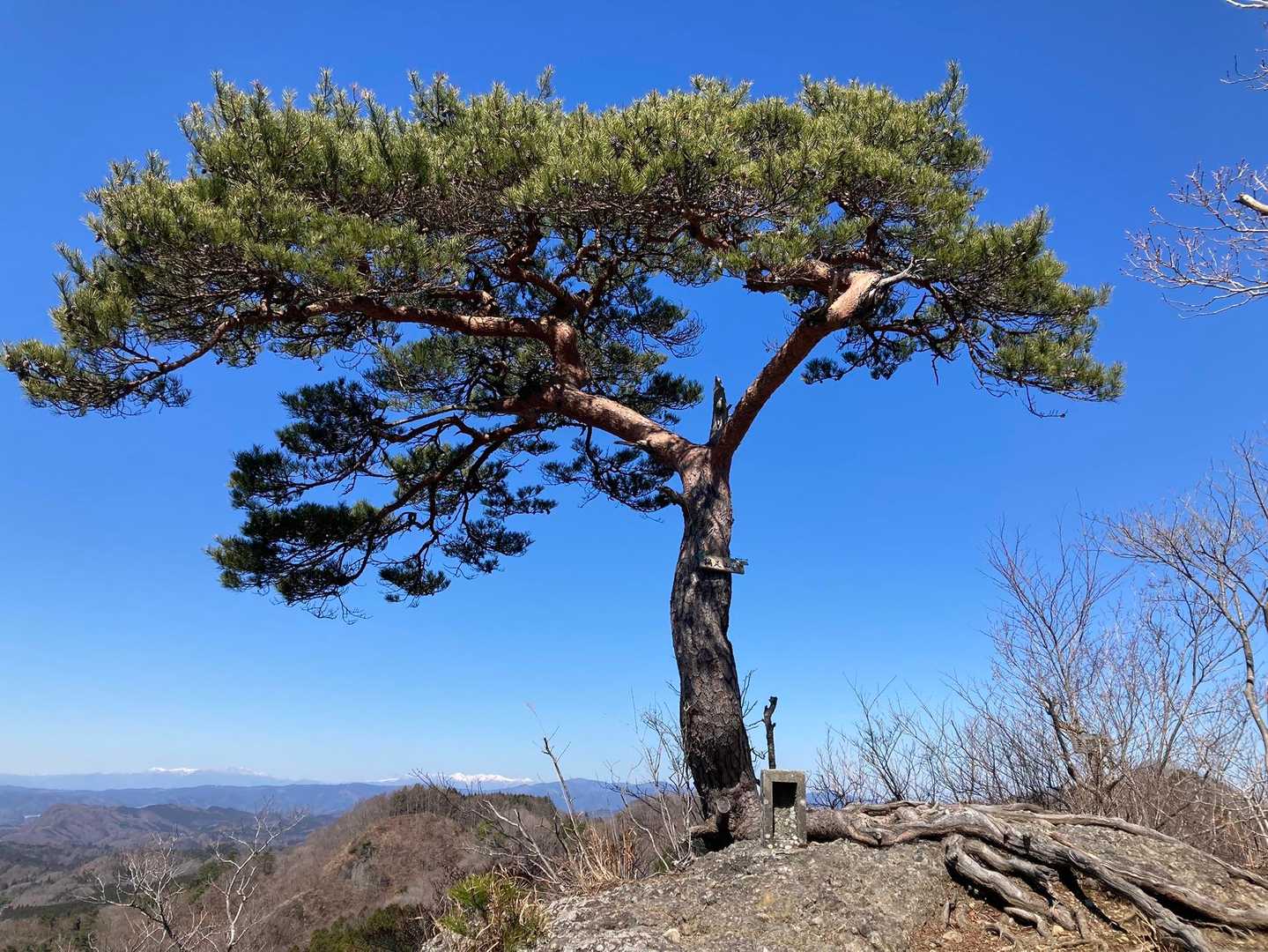 山頂到着⛰