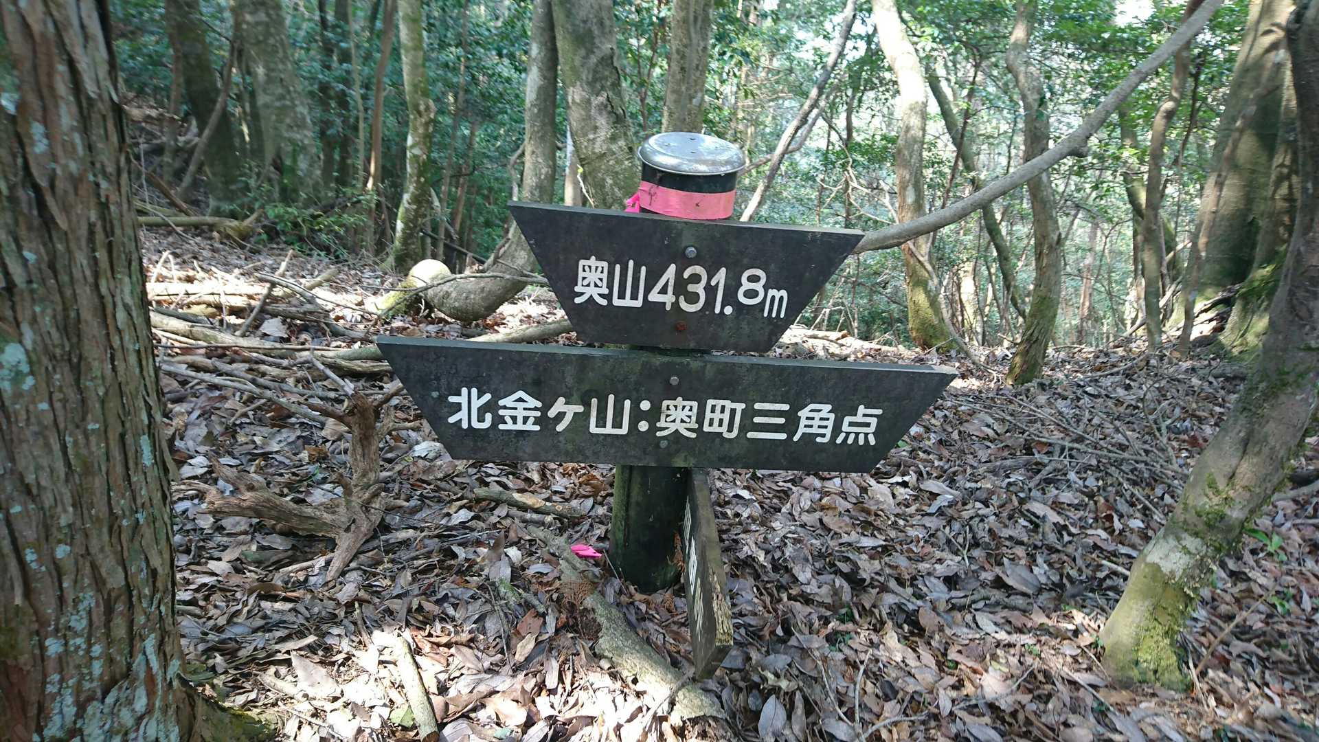 奥山に到着です。😉