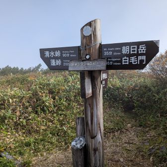 ジャンクションピーク。ここから中央分水嶺を歩きます