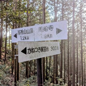 いよいよ🎶
周船寺への下り
足が… 悲鳴を…

