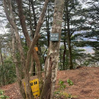 急登だけど距離は短い😆