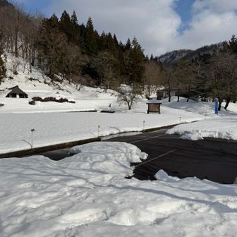 キャンプ場⛺️