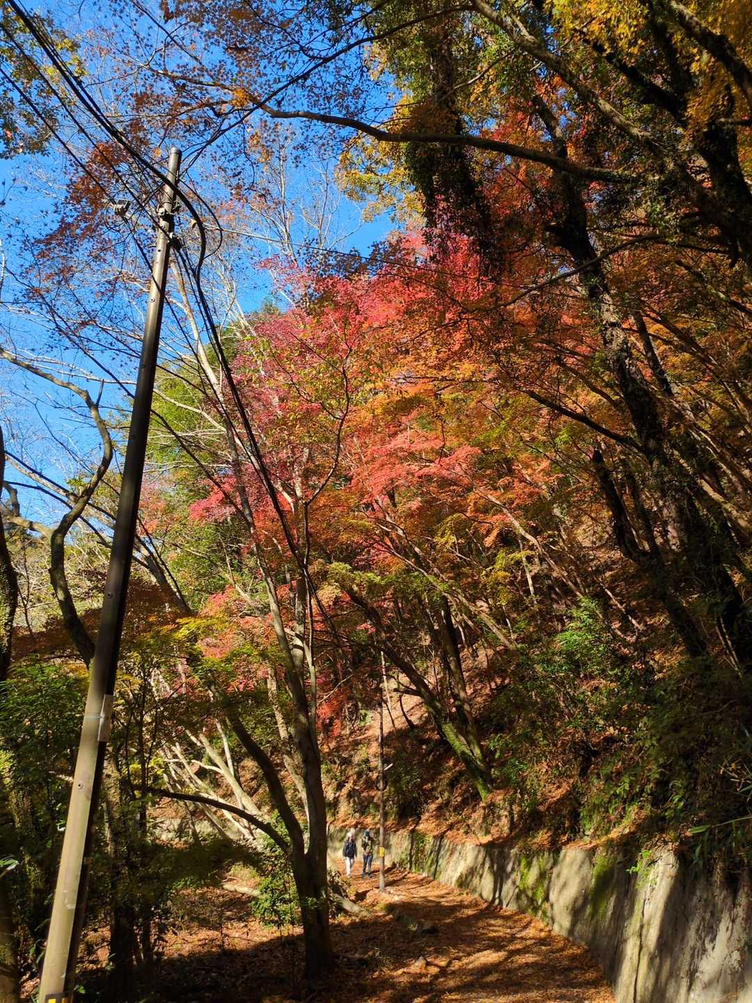 諏訪山公園下バス停-再度越 往復コースの写真