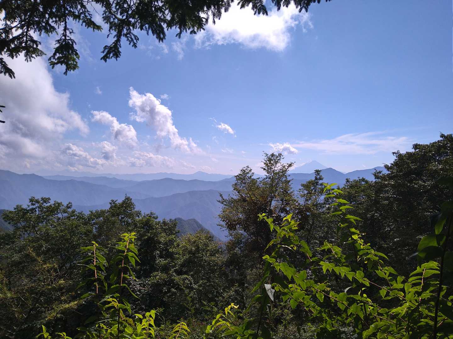 七ツ石小屋のテント場からは富士山をはじめ、三頭山・大岳山・丹沢の山々がズラッと見えて感激😆❗