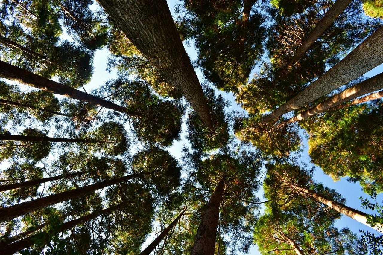 空はブルーですが
場所が良くなかったかな？。