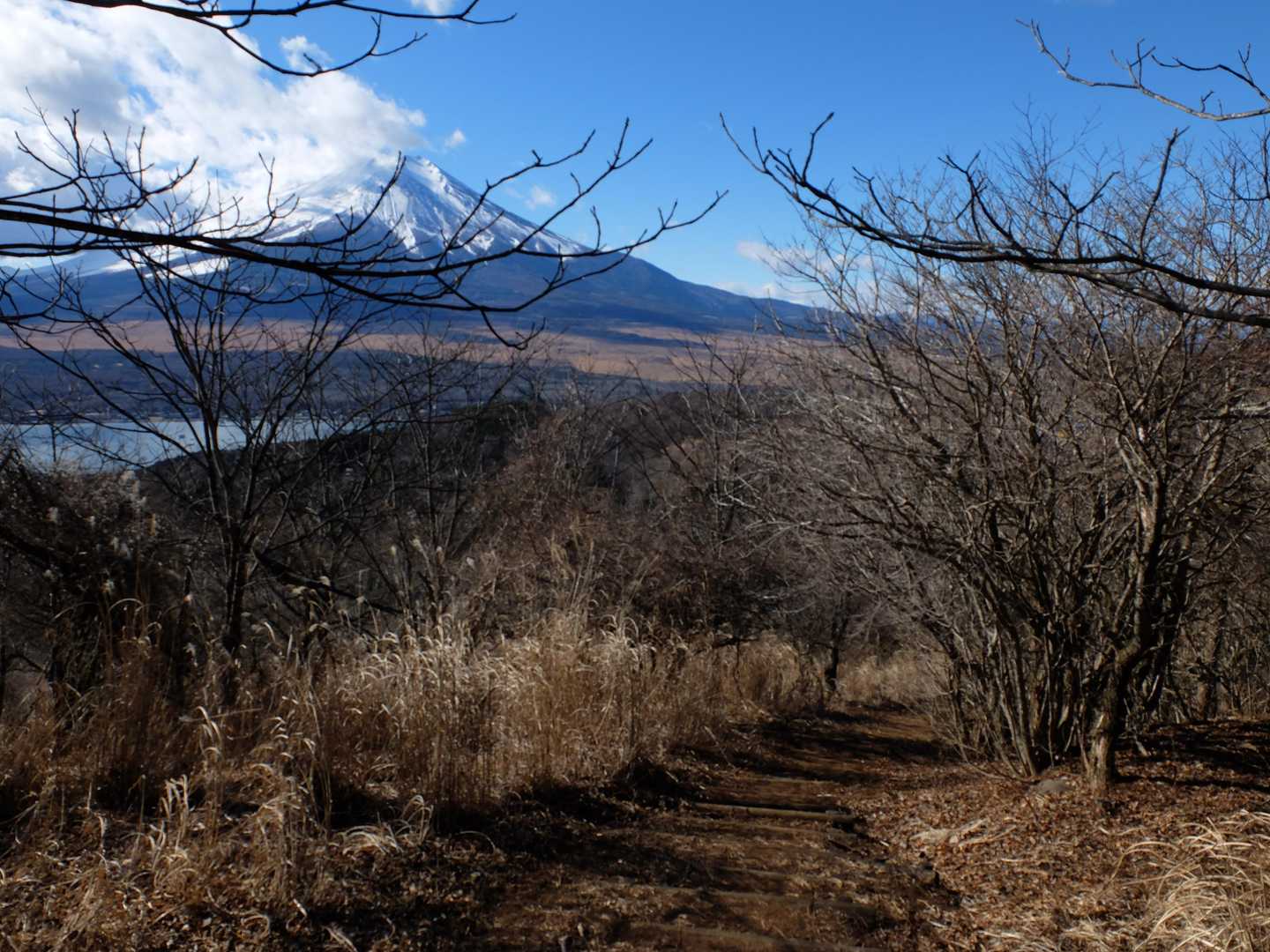 大きな富士山の姿を存分に楽しむ事が出来たので、山中湖湖畔へ下山開始です。