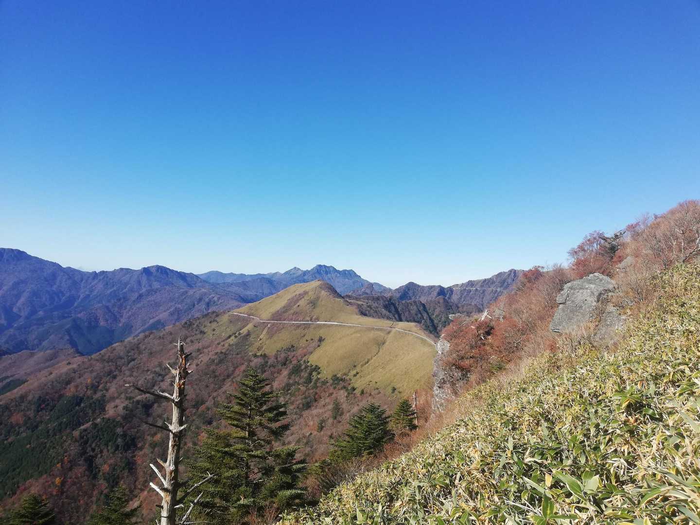 振り返って🤩