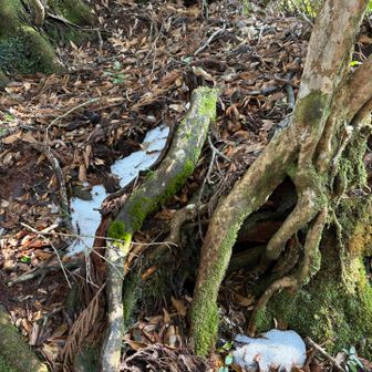 太鼓岩も積雪が少し残っていました