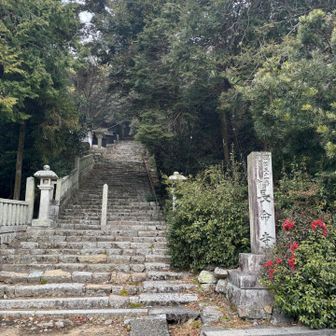 スポーツジュニア軍団に次々抜かれてスタート