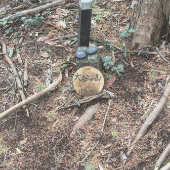 大谷ツ山山頂⛰️