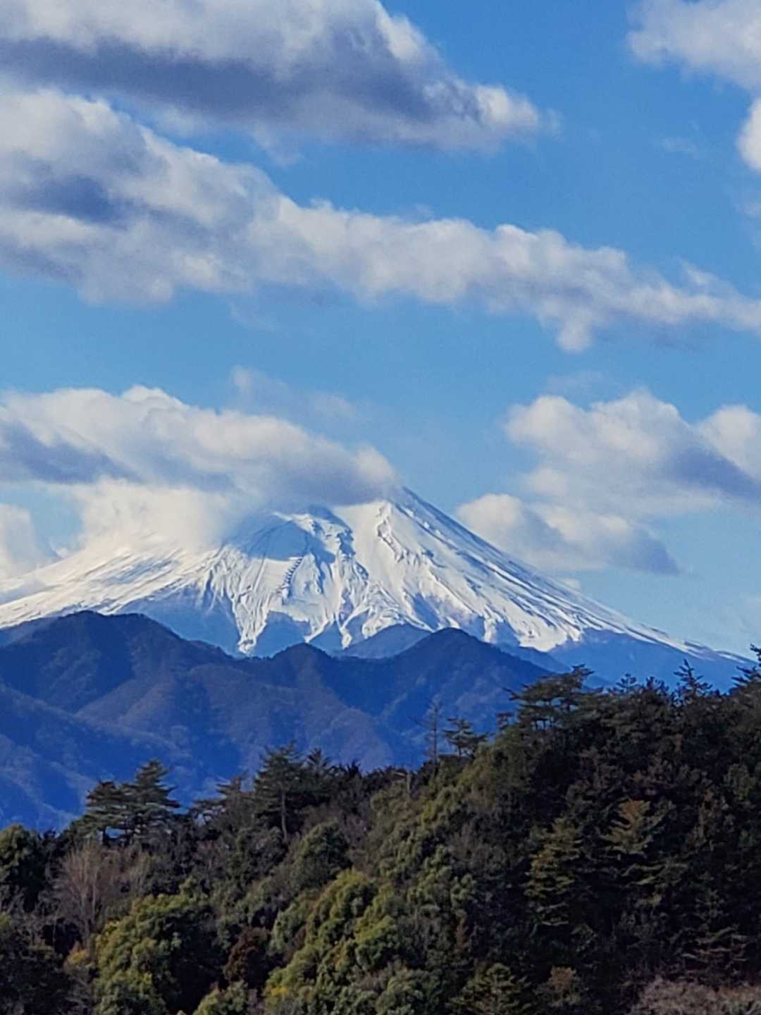 尾続山の写真