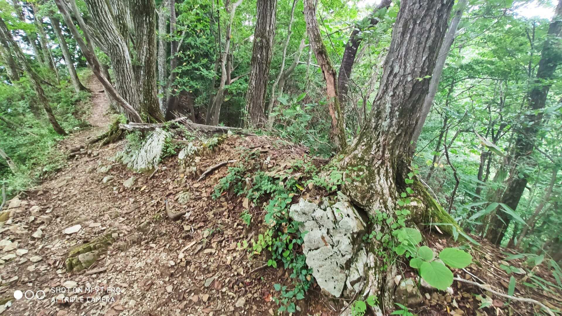 大蔵里山の写真