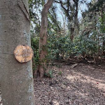 なかなかの急坂を頑張って手前の二子山