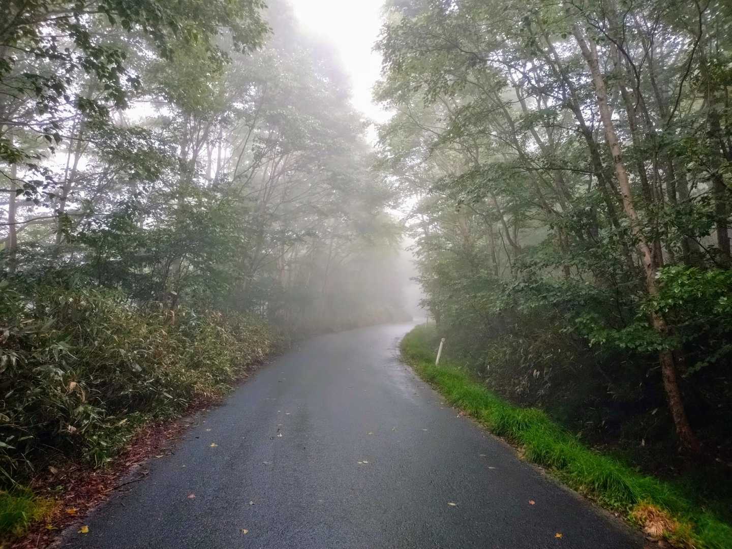 まずはアス道２kmですが、小雨🌂で暑い〜⤵️⤵️🥵