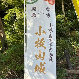 小牧、長久手の合戦　羽柴秀吉VS織田信雄、徳川家康