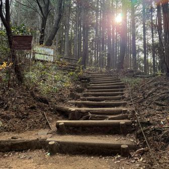 はい！ゆっくり登りましょ♡