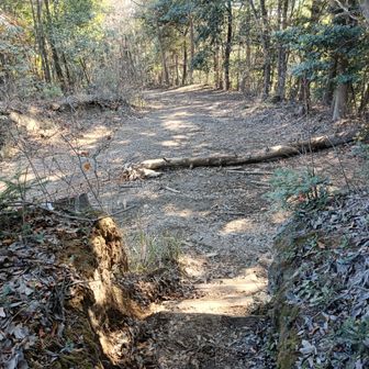 ようやく林道合流地点
