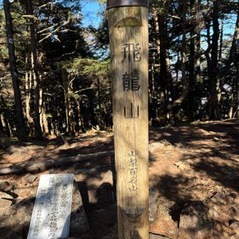 展望なし🍐
飛龍革命・藤波辰爾🐉