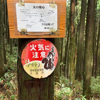 やっとこさのセト💦
ここまでが長い急登で、完全にやられました😖
でも、ここから金剛山山頂までも厳しいんです。
古道歩きと舐めたら、酷い目に遭います