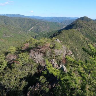 縦走路が一望できます。