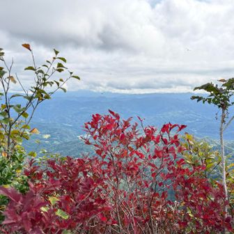 山頂🍁はこれだけ