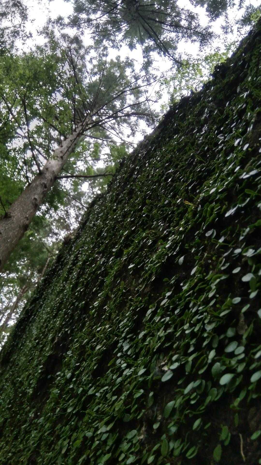 峠バス停-びく石登山道入口-石谷山 周回コースの写真