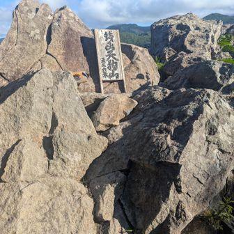 山のヌシ？のマムシさんはお出かけ中のもよう…だがアブが留守番しててしつこいのですぐに下の広場みたいな所まで退避(´・ω・｀)