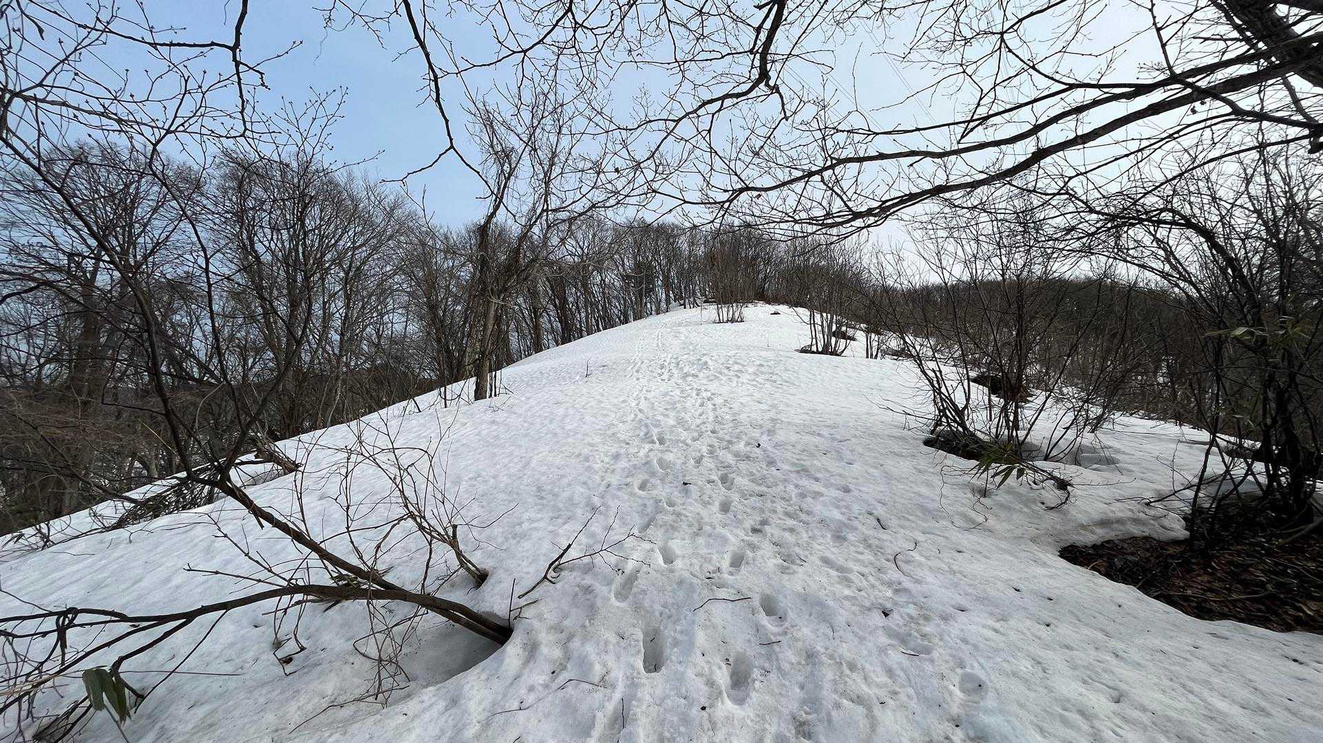 ここからはツボ足🦶