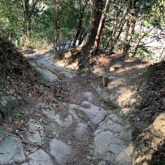 石を削った道をしらばく下り