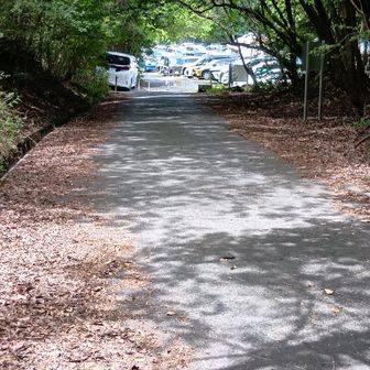 駐車場はほぼ満車
