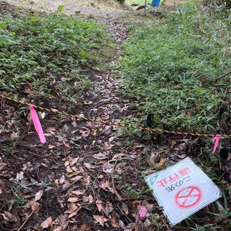 額田園地へ
ここから左⬅️
