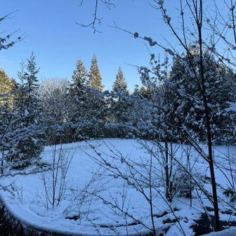 ここがフォロワーさんの日記にあった、KDDIの所有地ね