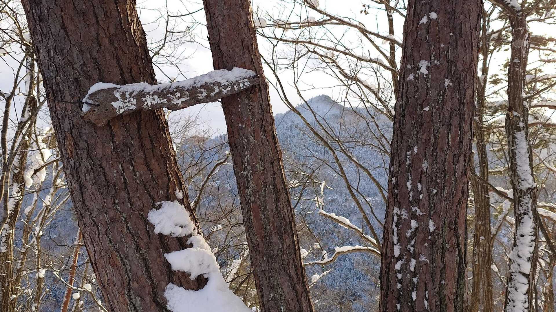 曲森山🏔️に着きました😊