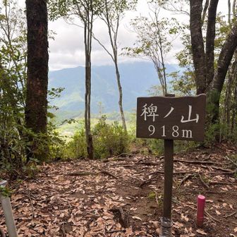 稗ノ山山頂
比叡山よりこちらの方がかなり高いんですね