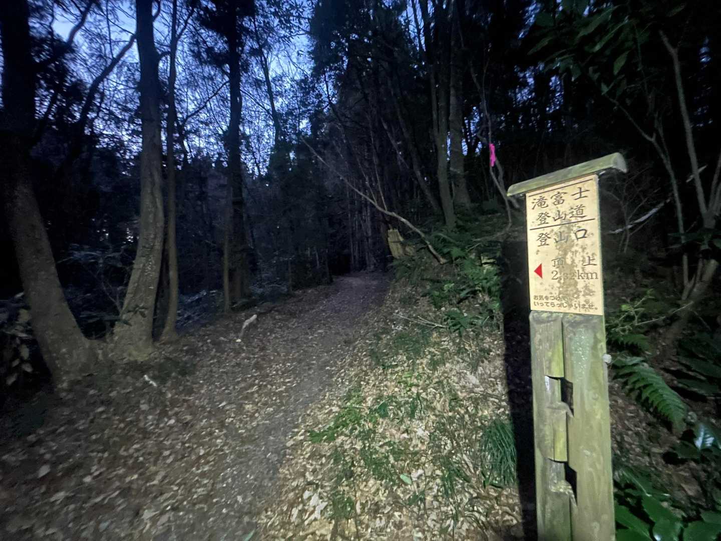 物静かな道を進んで行きます⤴︎