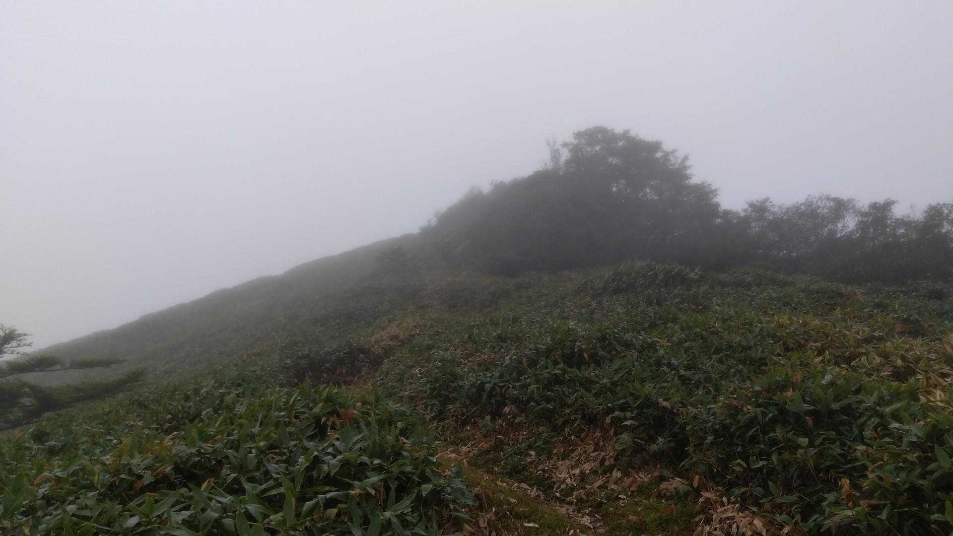 平家平頂上晴れていれば景色も最高なんだろうな～🙄