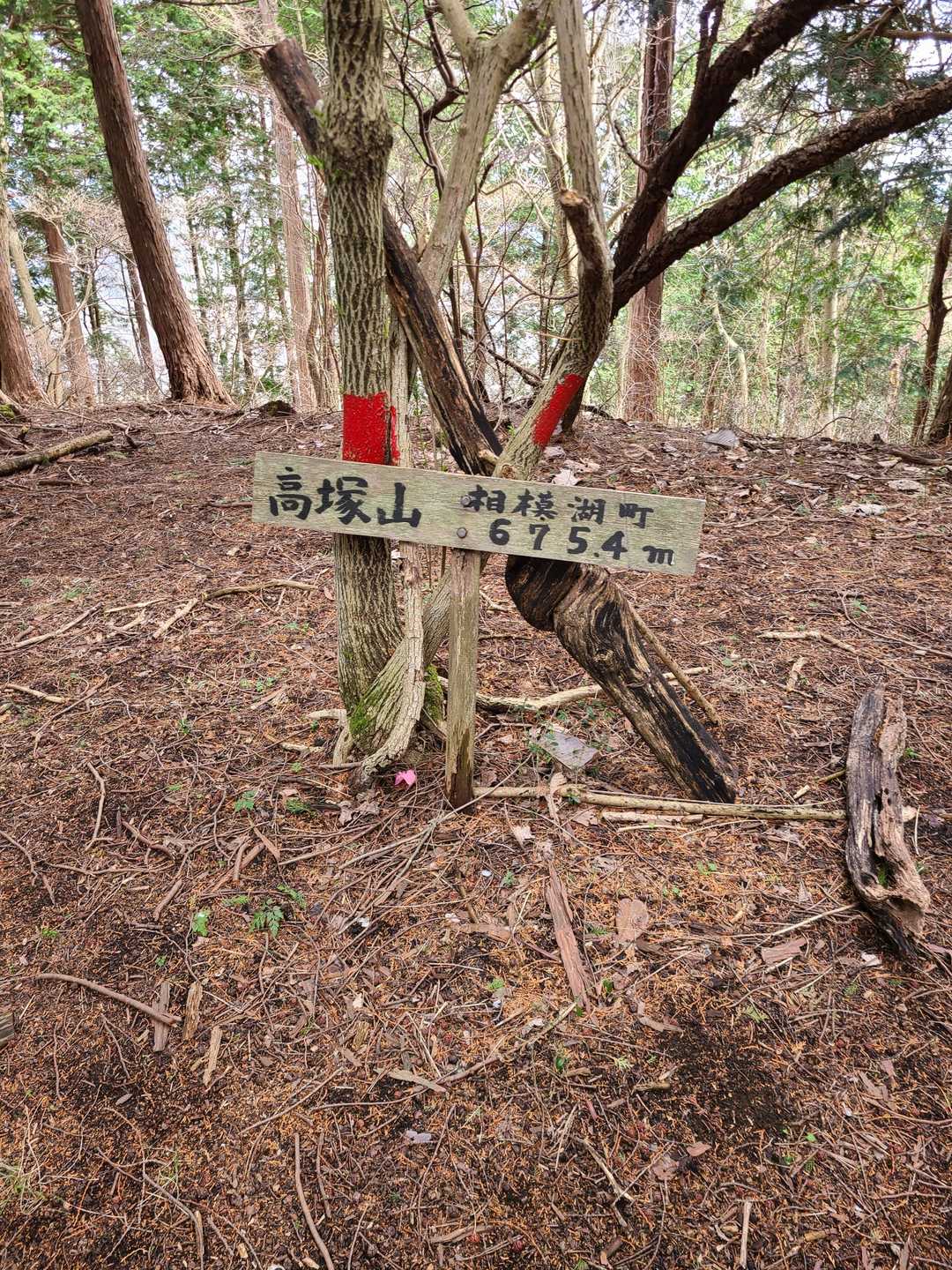 高塚山にも寄りました🎵